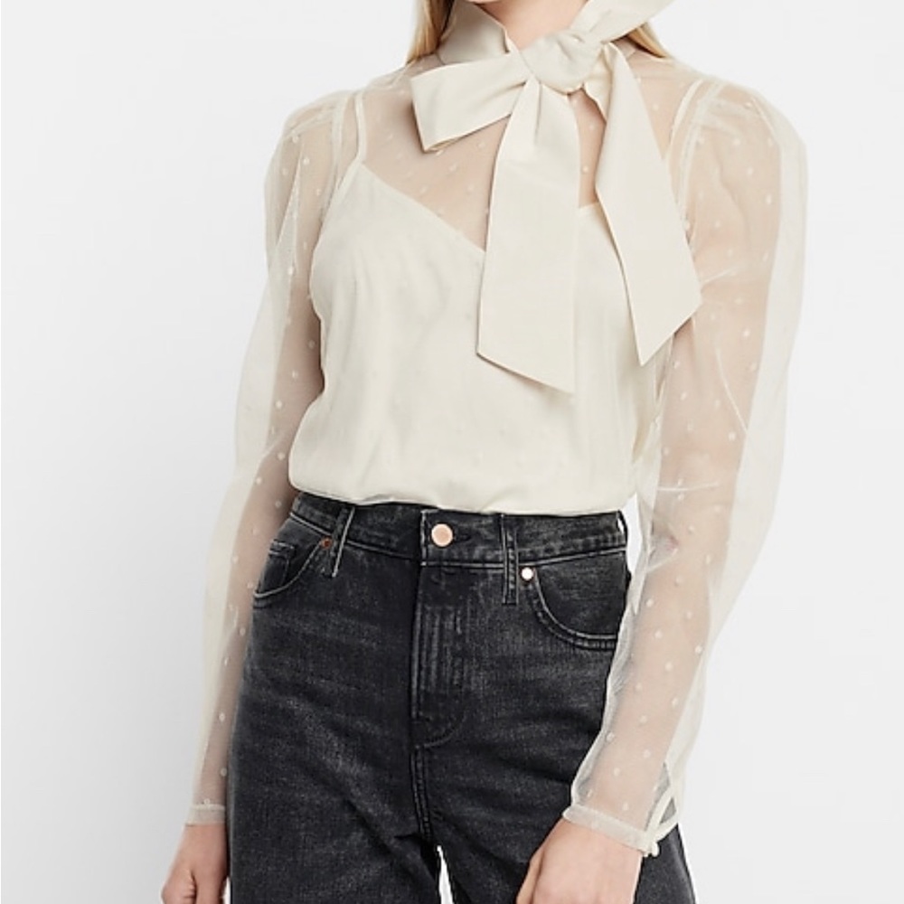 002 NWOT Express Tulle Polka Dot Tie Mock Neck Puff Sleeve Top